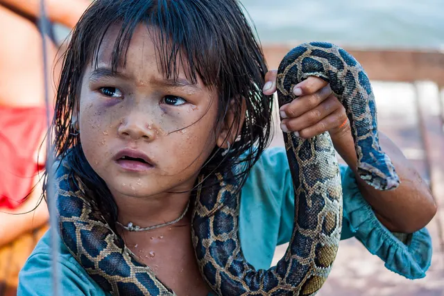 Tonle Sap, Siem Reap, Cambodia: A little girl making money for her family by posing with a snake in a water village of Tonle Sap Lake. Child image consent problems: pressure, unclear guardianship, public identifiers and reuse