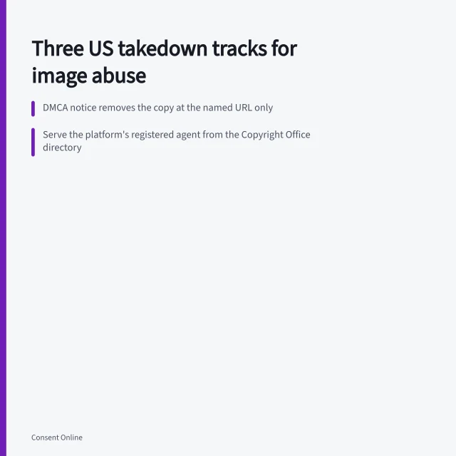 Card summarizing DMCA, state, and NCMEC reporting tracks for image abuse. How US creators file a DMCA takedown and a state revenge porn report