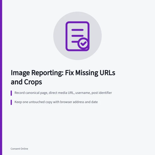 Card summarizing image reporting fixes: URLs, uncropped evidence, correct report routes. Image reporting problems: missing URLs, cropped evidence, mirrors and repeat uploads