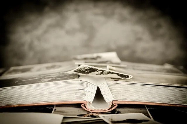 photos, album, old, photo album, photographer, memory, nostalgia, souvenir, photography, pictures, photographs, photos, album, photo album, photo album, photo album, memory, memory, memory, memory, memory. Image rights review checklist: people, rights and evidence