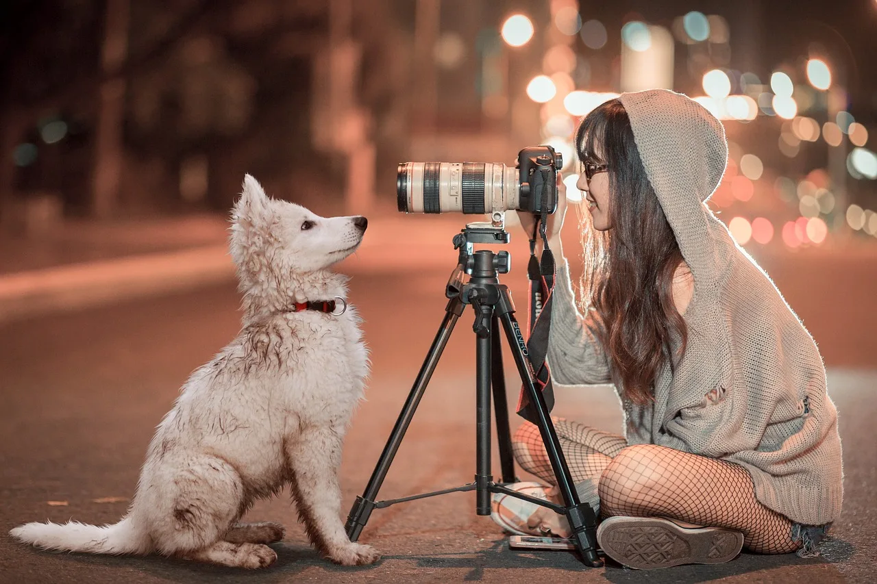 puppy, dog, pet, animal, night, schäfer dog, baby, photogenic, attention, fond of animals, friendship, friends, camera, tripod, photographer, shoot, woman, cute, photo shoot, fotobomb, in the free, animal portrait, dog look, sweet, brown dog, brown animals, brown camera, brown portrait, brown night, brown puppy, brown pets, brown friendship. Shared-space photography checklist: location, permission, notice, bystanders and publication