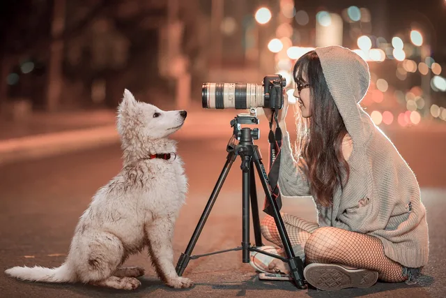 puppy, dog, pet, animal, night, schäfer dog, baby, photogenic, attention, fond of animals, friendship, friends, camera, tripod, photographer, shoot, woman, cute, photo shoot, fotobomb, in the free, animal portrait, dog look, sweet, brown dog, brown animals, brown camera, brown portrait, brown night, brown puppy, brown pets, brown friendship. Shared-space photography checklist: location, permission, notice, bystanders and publication