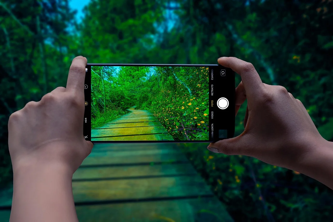 smartphone, camera, landscape, nature, wooden trail, path, mobile phone, phone, creativity, mobile photography, phone photography. Original upload, repost, share tool, embed, screenshot, download, and off-platform reuse compared