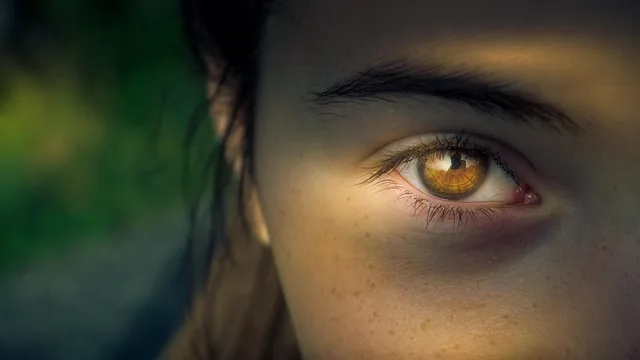 eye, iris, pupil, view, focus, woman, close up, portrait, girl, person, the shade, freckles, lighting, eye, eye, eye, eye, eye, focus, focus. Synthetic media consent problems: scraped likenesses, hidden training use and cloned endorsements